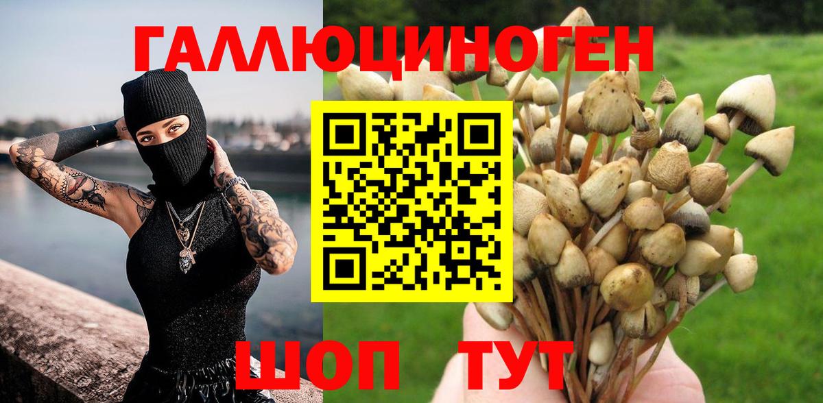 Псилоцибиновые грибы мицелий  Галлюциногенные грибы мицелий  Вход с VPN  Пятигорск 